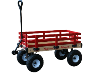 Kid's Express Wagon