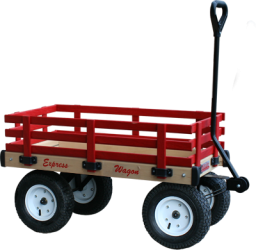 Kid's Express Wagon