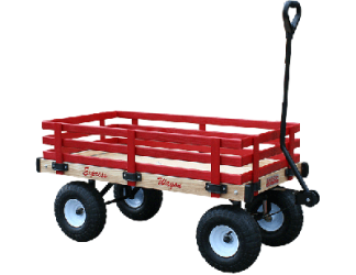 Kid's Express Wagon