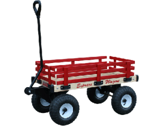 Kid's Express Wagon